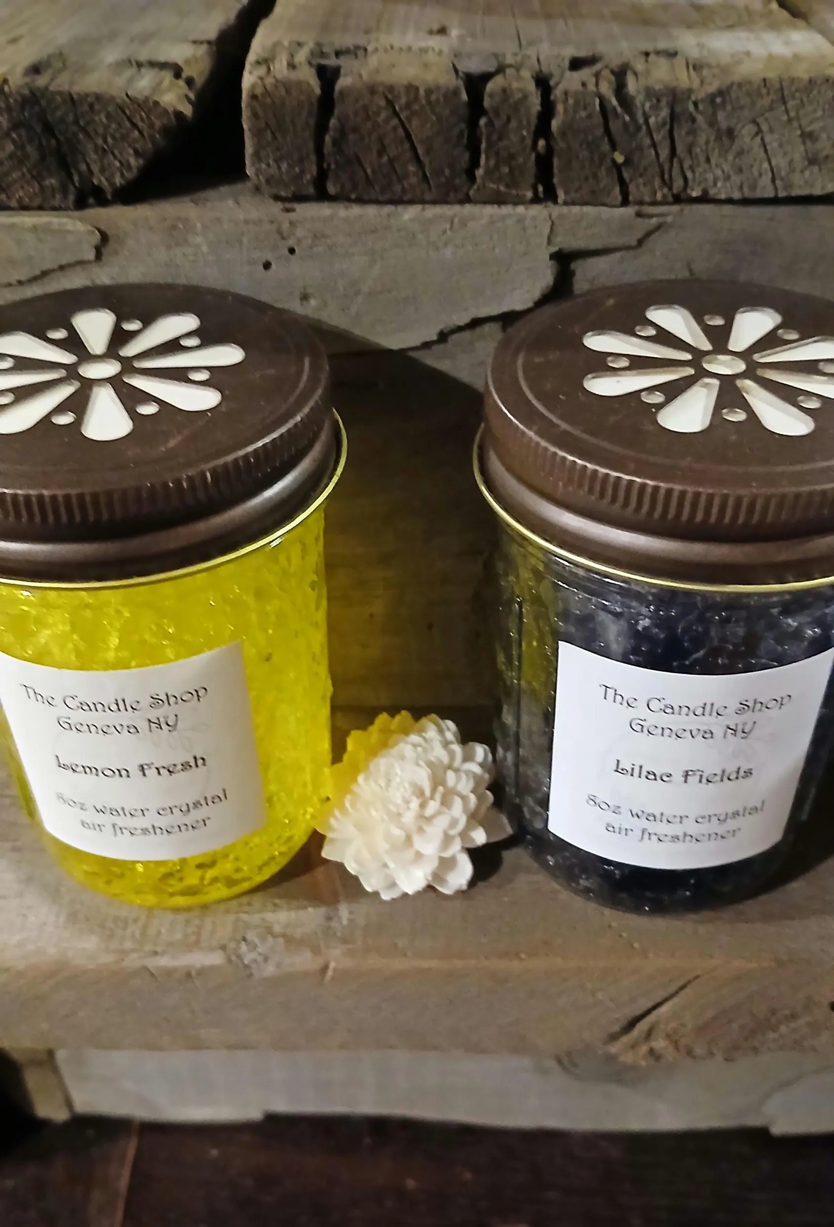 8oz Smelly Jelly/You choose/Air Freshener/Small College Room Air Freshener/Teen Small Room Air Freshener