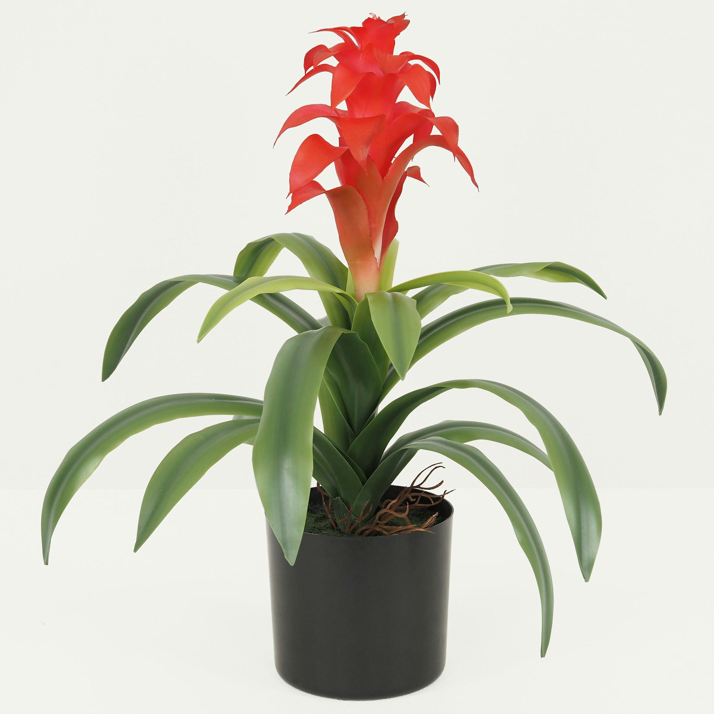 - Guzmania artificielle toucher naturel 45cm