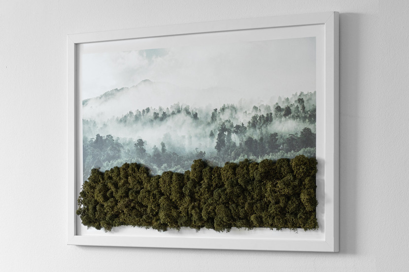 Obraz z mchem - Las we mgle 60x40 cm Biała Rama