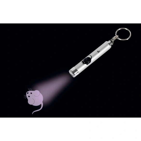 LED-Pointer, silberfarben, Metall
