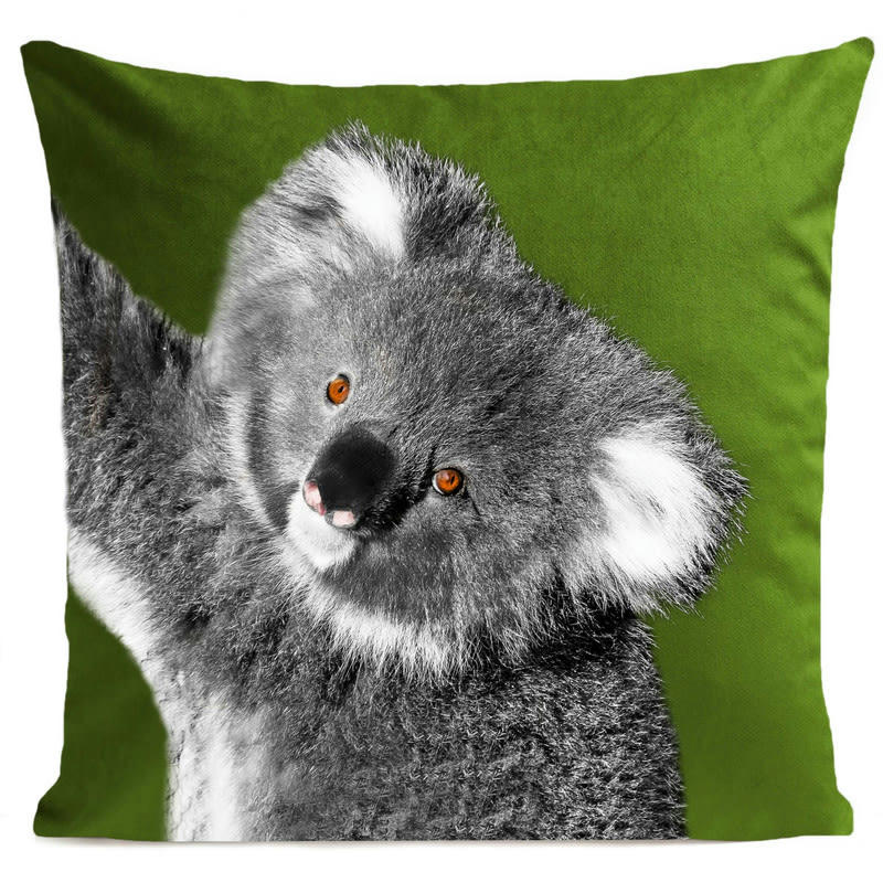 - Coussin animal koala velours vert 40x40cm