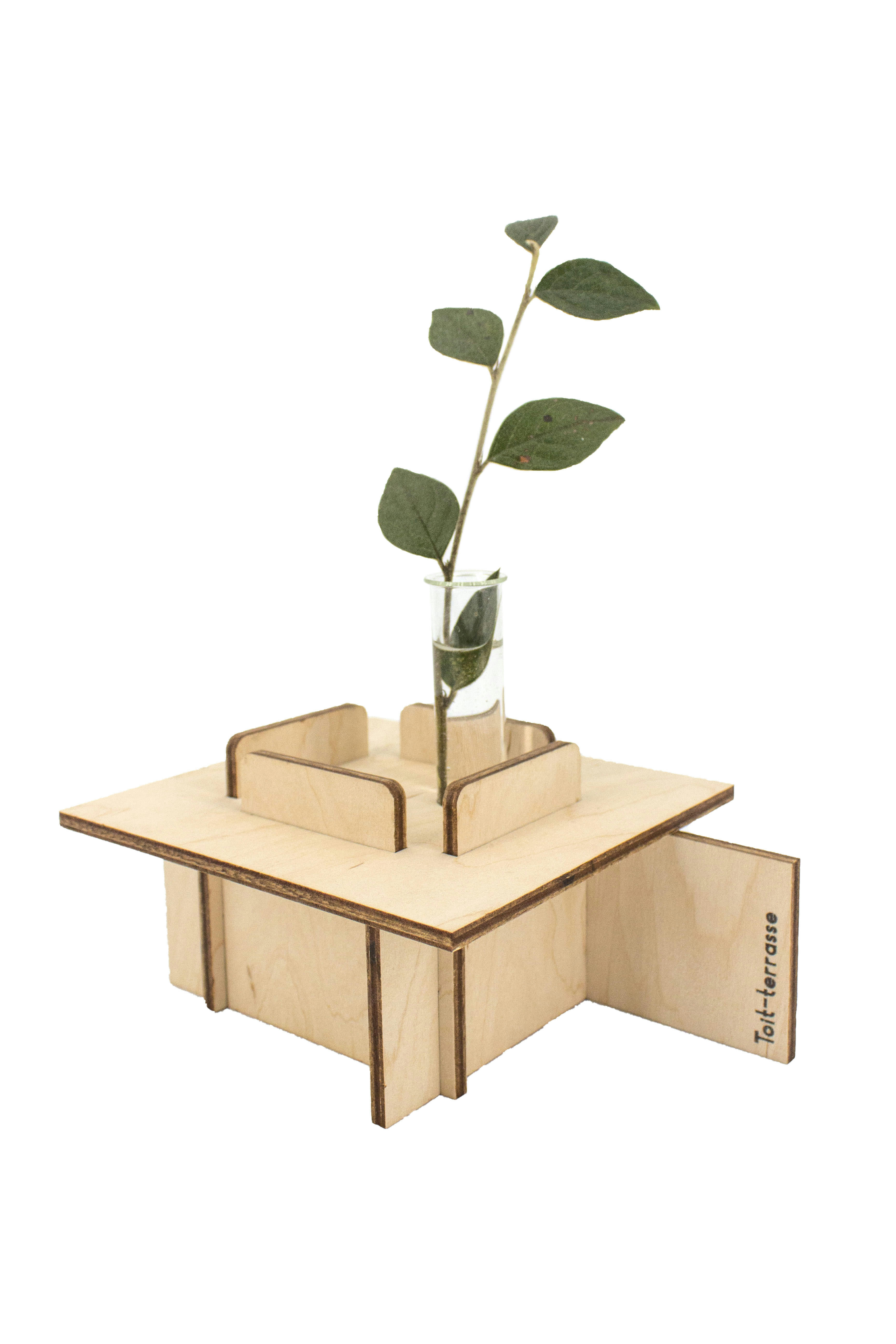 Toit-terrasse - Vase en bois de bouleau à monter et éprouvette en verre