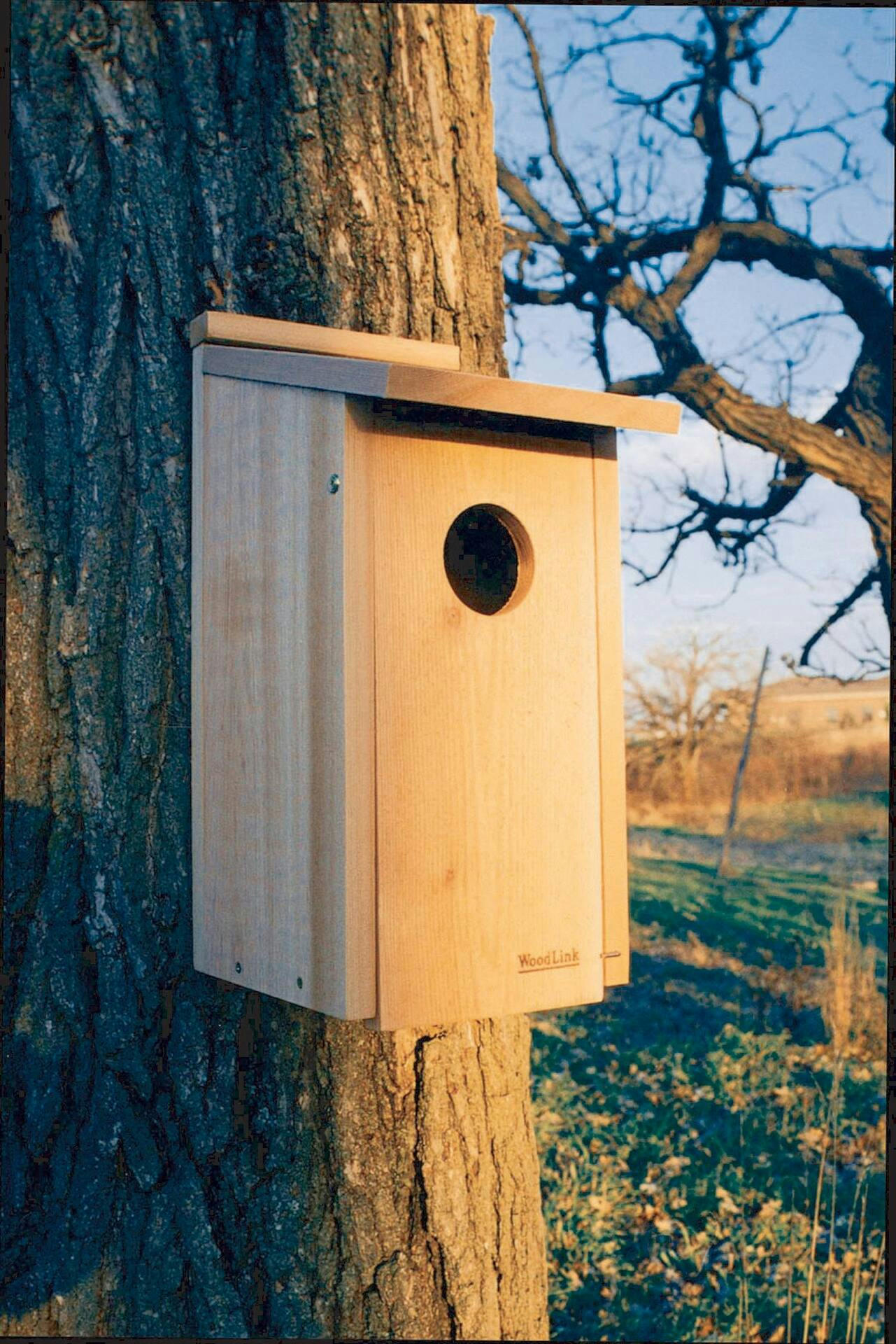 Panacea Natural Wood Outdoor Screech Owl & Kestrel House with Wood Shavings, 12 x 10 x 20-in