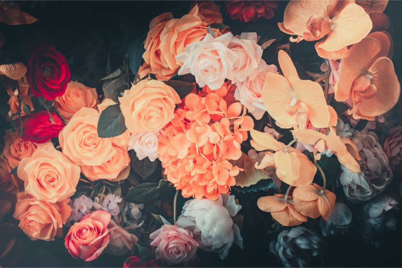 Fototapeta KWIATY Orchidea Róże Natura 3D 90x60cm