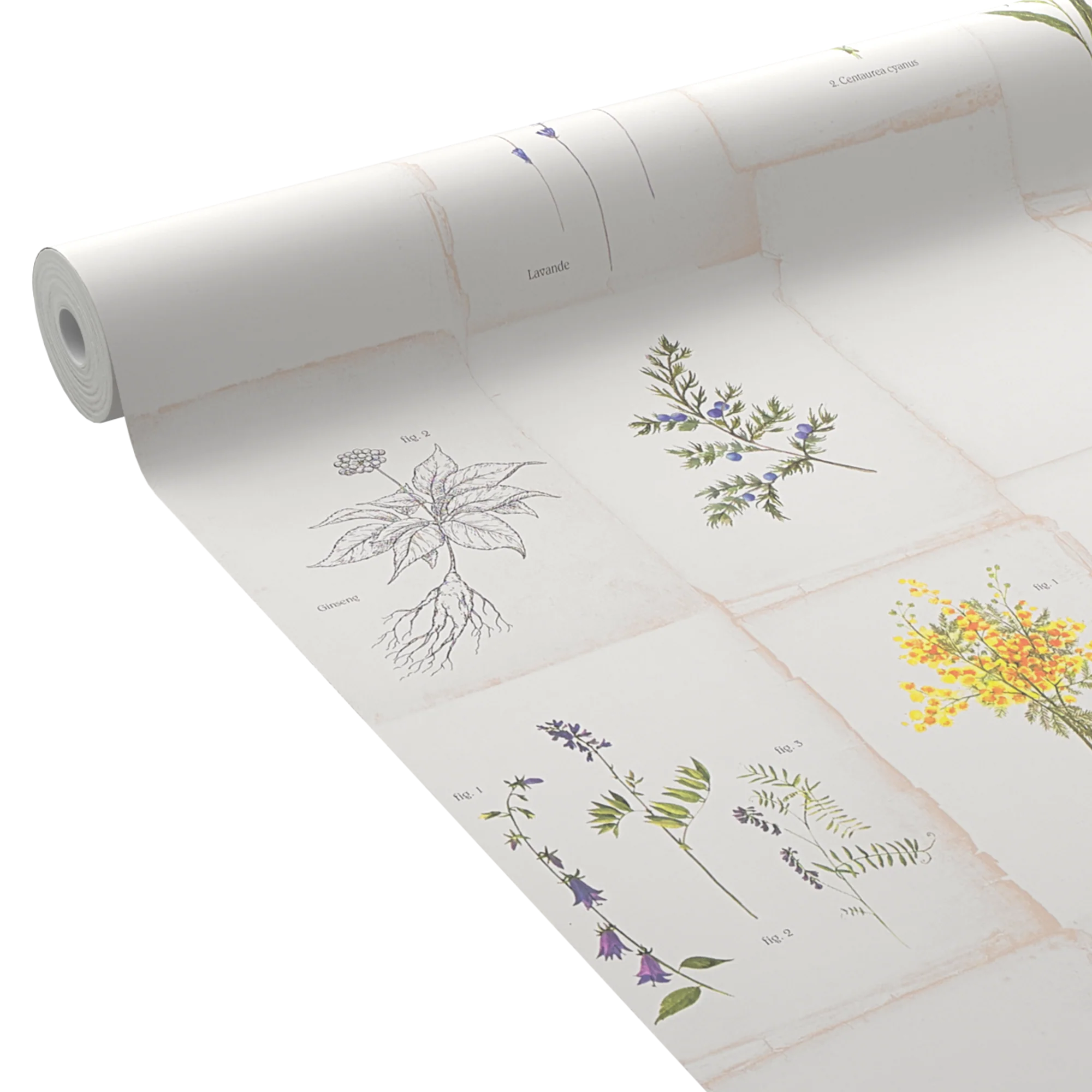 Papier peint intissé GARANCIA blanc, vert feuille et jaune d'or