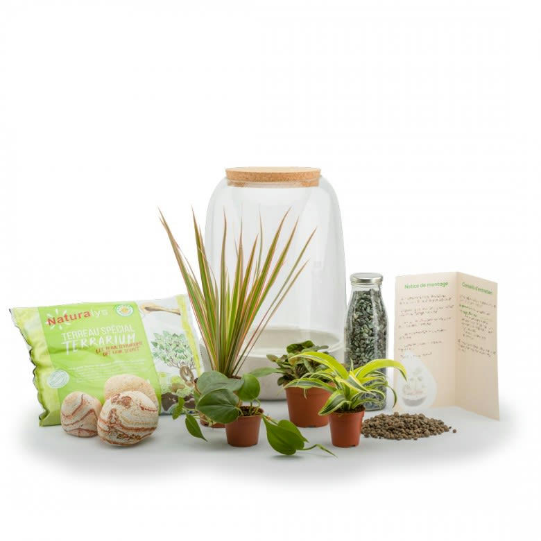 TERRA KIT - Kit terrarium plantes opendo l (23 x 36 cm)