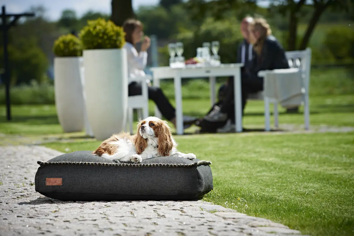 Hundebett Cobana