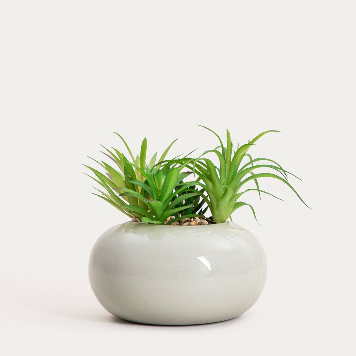 Roślina sztuczna ACCIO sukulent w donicy 19 cm