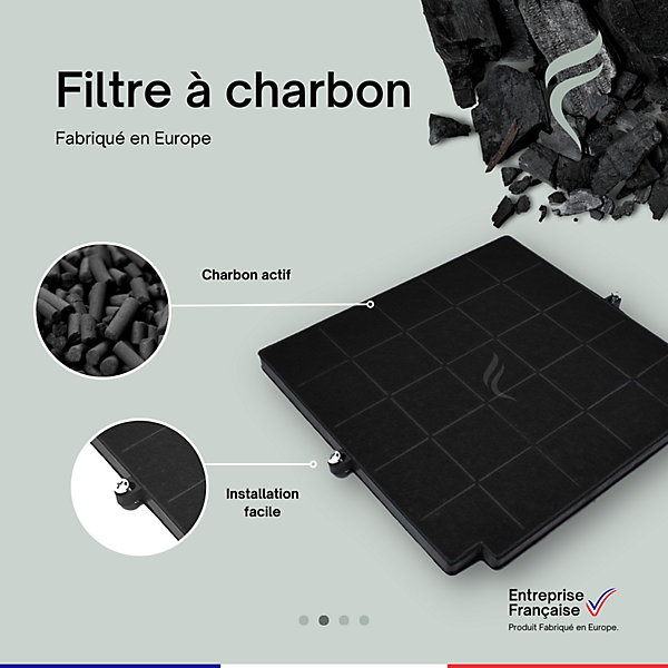 Filtre à Charbon pour Hotte Blaupunkt - 5Z9101X1, 5Z9102X1 - 263x257x16mm