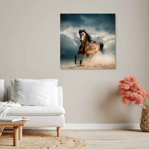 Feeby Obraz na płótnie, Galop konia 30x30