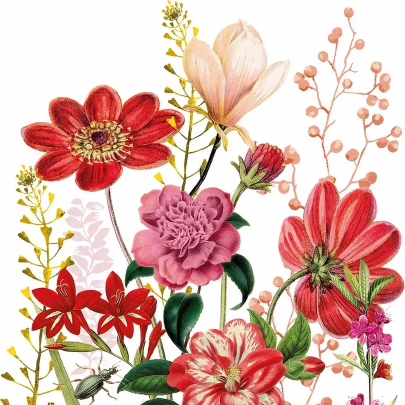 Serviette 20er-Set Floria