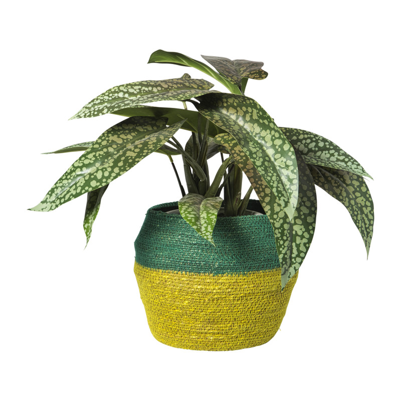 Mand colorblock - groen/geel - &Oslash;20x25 cm