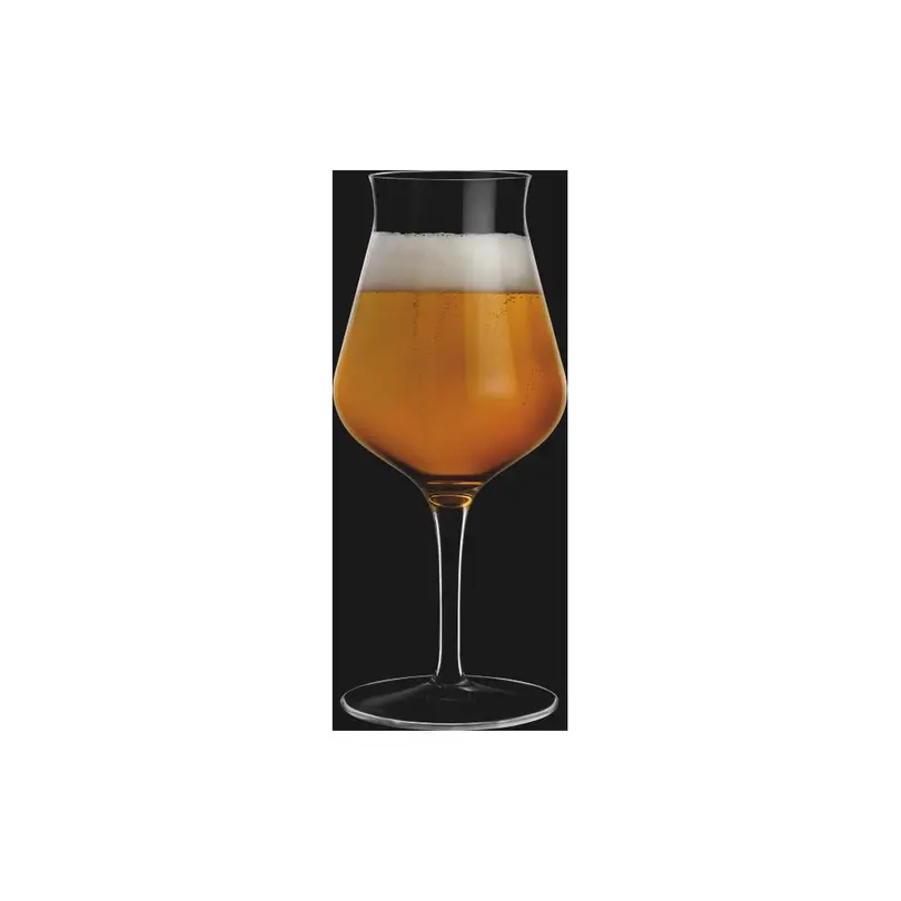 Bierglas 2er-Set Birrateque