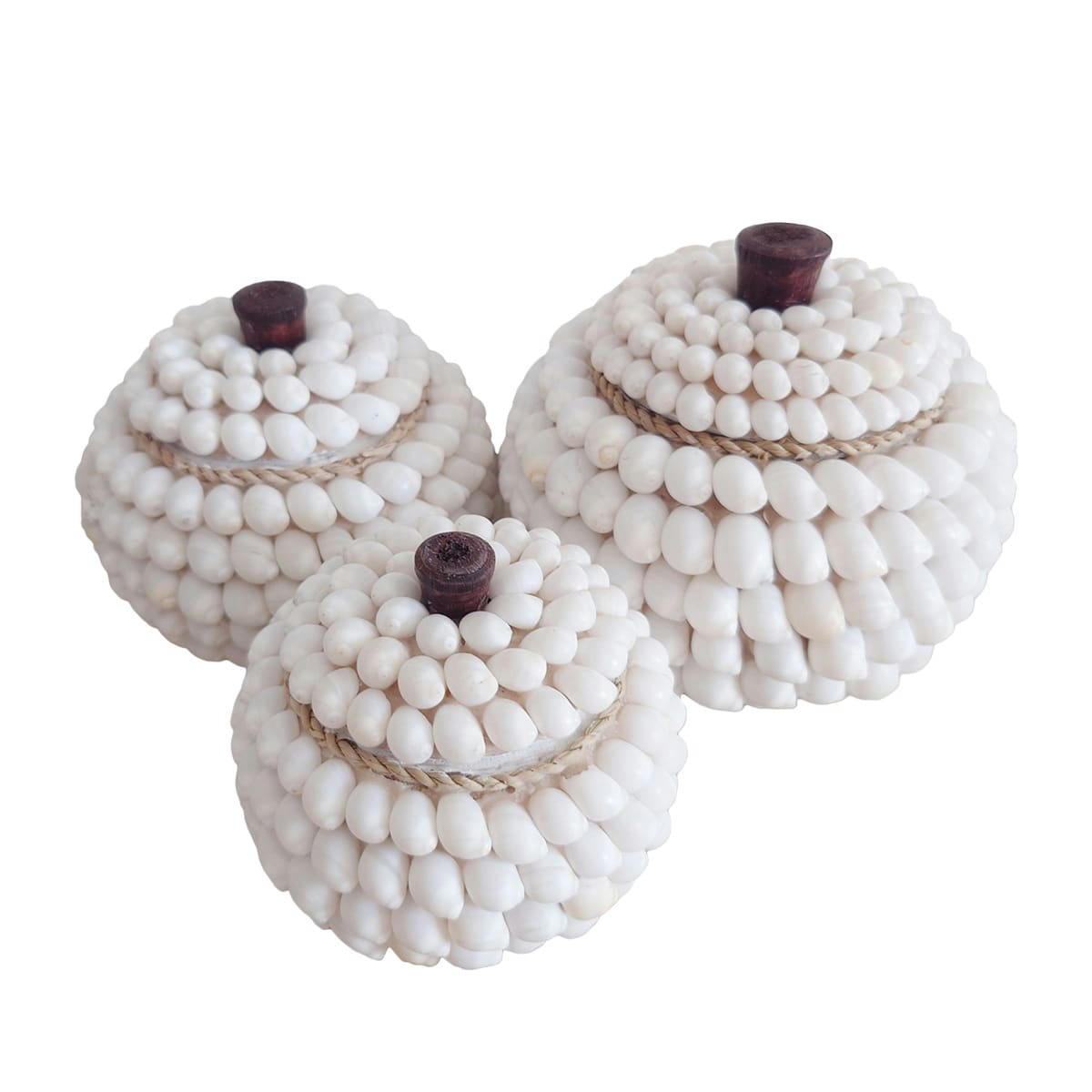 OCEAN - Boites rondes en coquillages, blanc - lot de 3