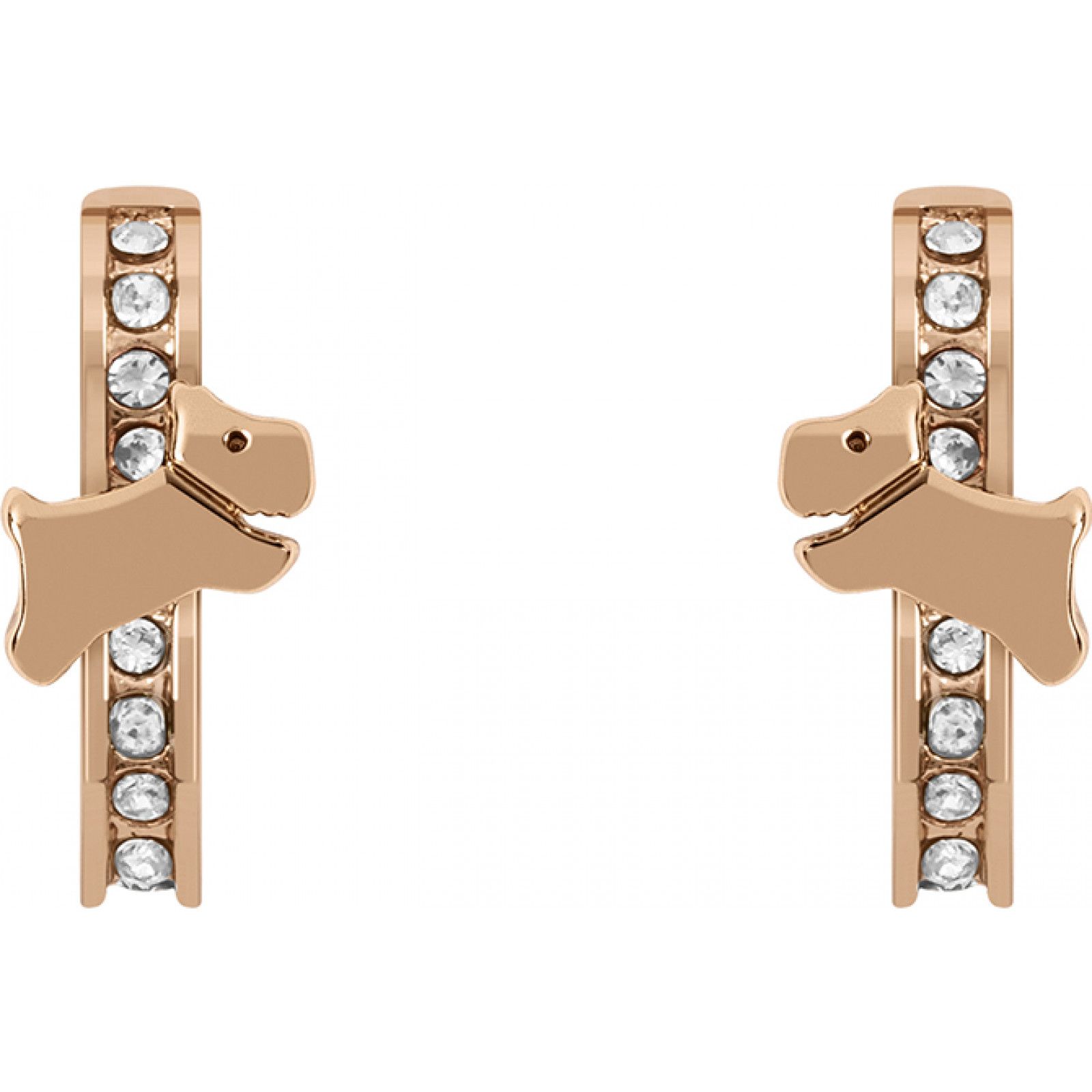 Radley RYJ1290S Pair Of Earrings