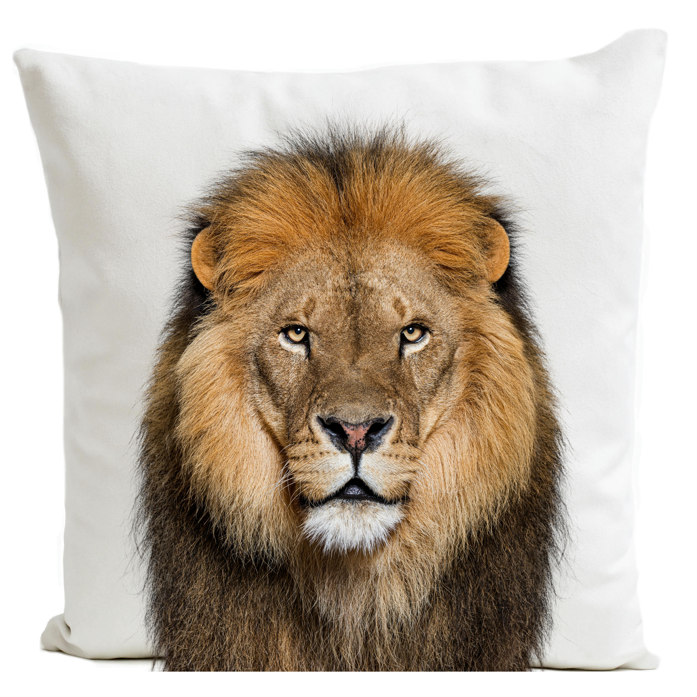 - Coussin animal  lion suédine blanc 40x40cm