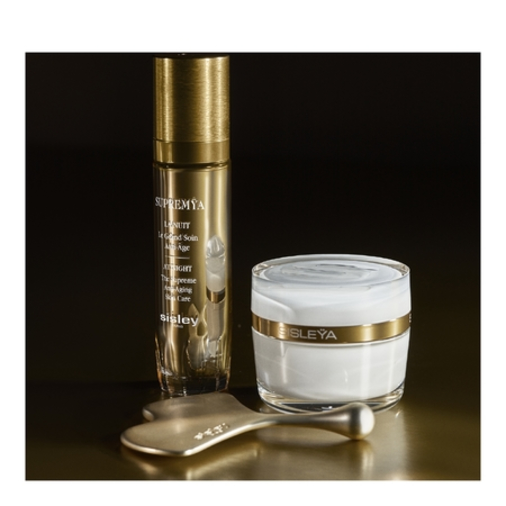 GINGKO GUA SHAOutil de massage anti-âge