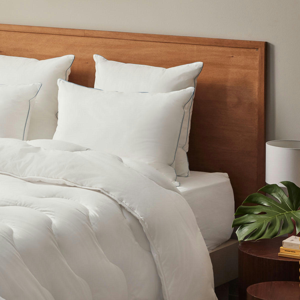 - Oreiller Natur'Rev - 40% Duvet - Medium 60x60 cm - DUNLOPILLO