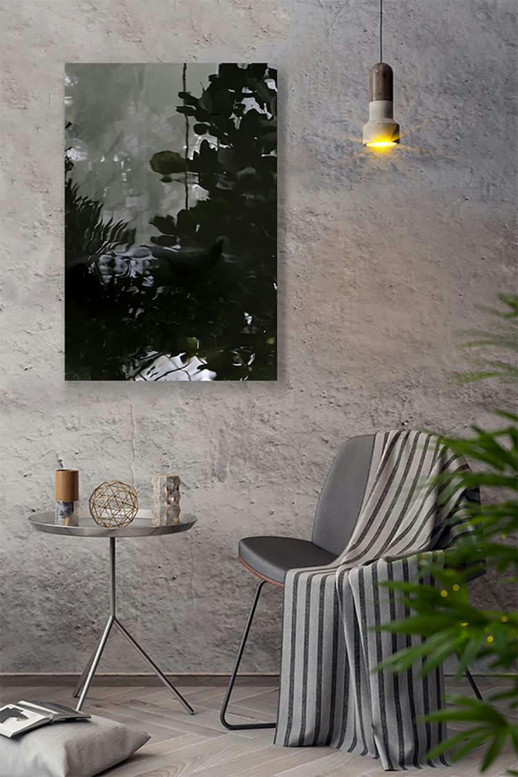 L'OMBRE DANS L'EAU - Photographie d'art de Zoé Pignolet 40x60 cm sur plexi