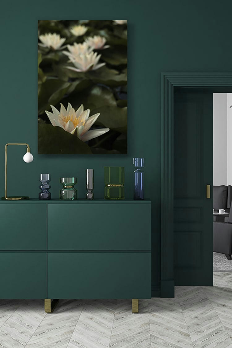 S'EFFLEURER - Photographie d'art de Zoé Pignolet 40x60 cm sur plexi