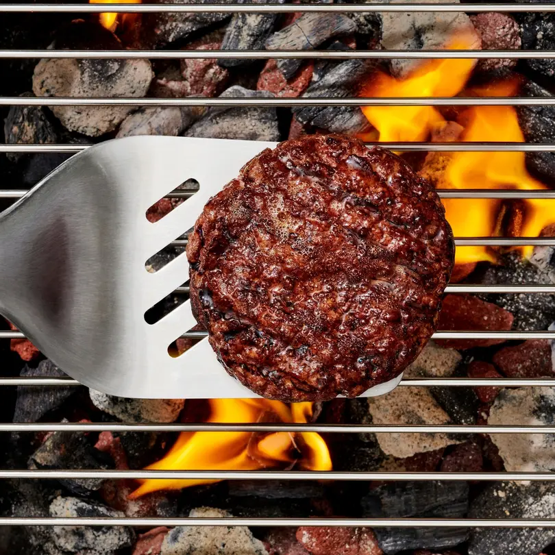 Grillwender Good Grips