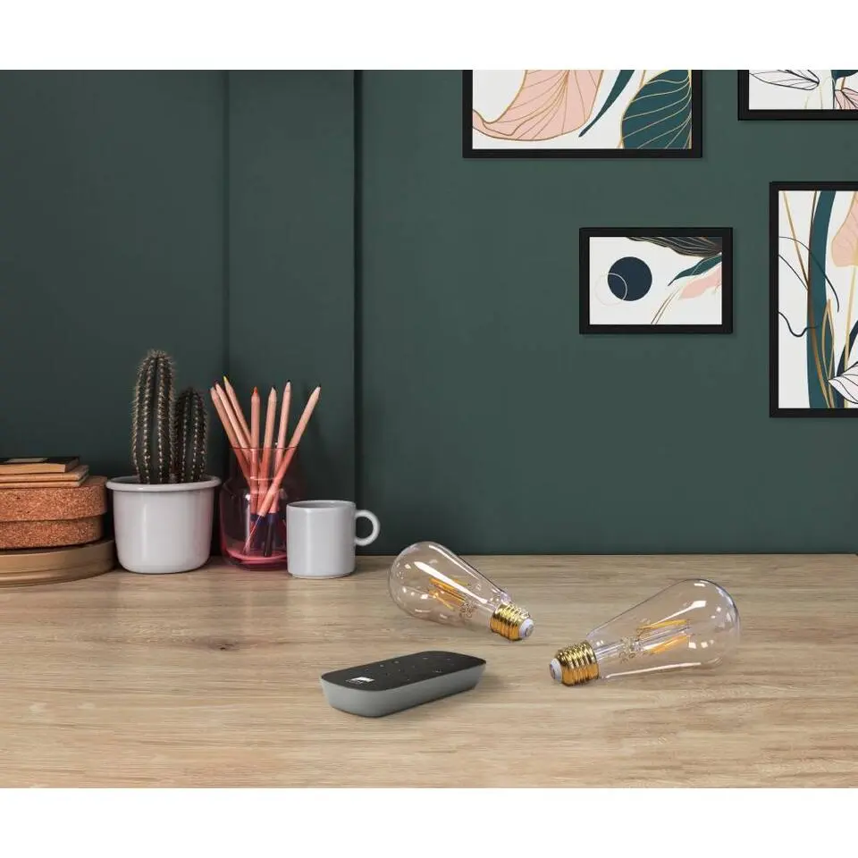 EGLO starter-z Starterspakket - E27 LED Lampen - Afstandsbediening