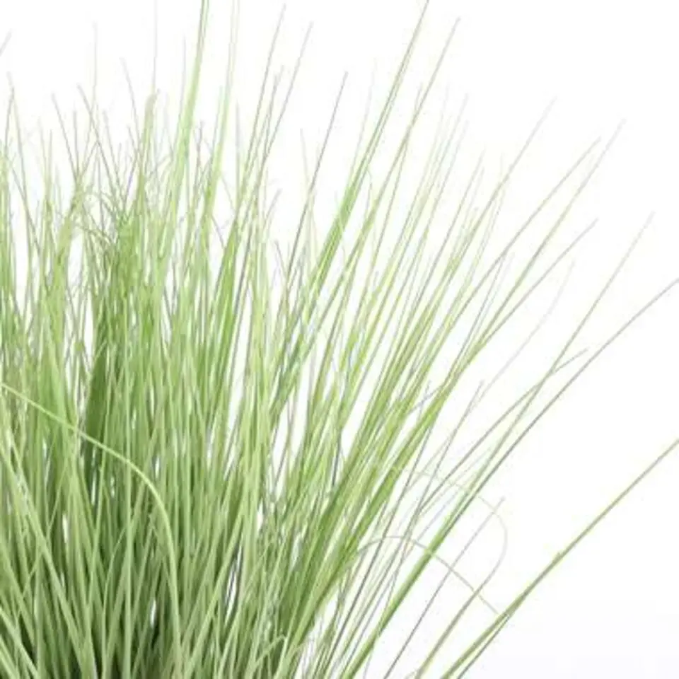 Mica Decorations Gras Kunstplant - H68 cm - Groen