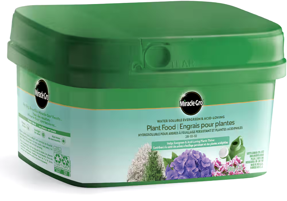 Miracle-Gro® Water Soluble Evergreen & Acid-Loving Plant Food, 28-10-10, 500-g