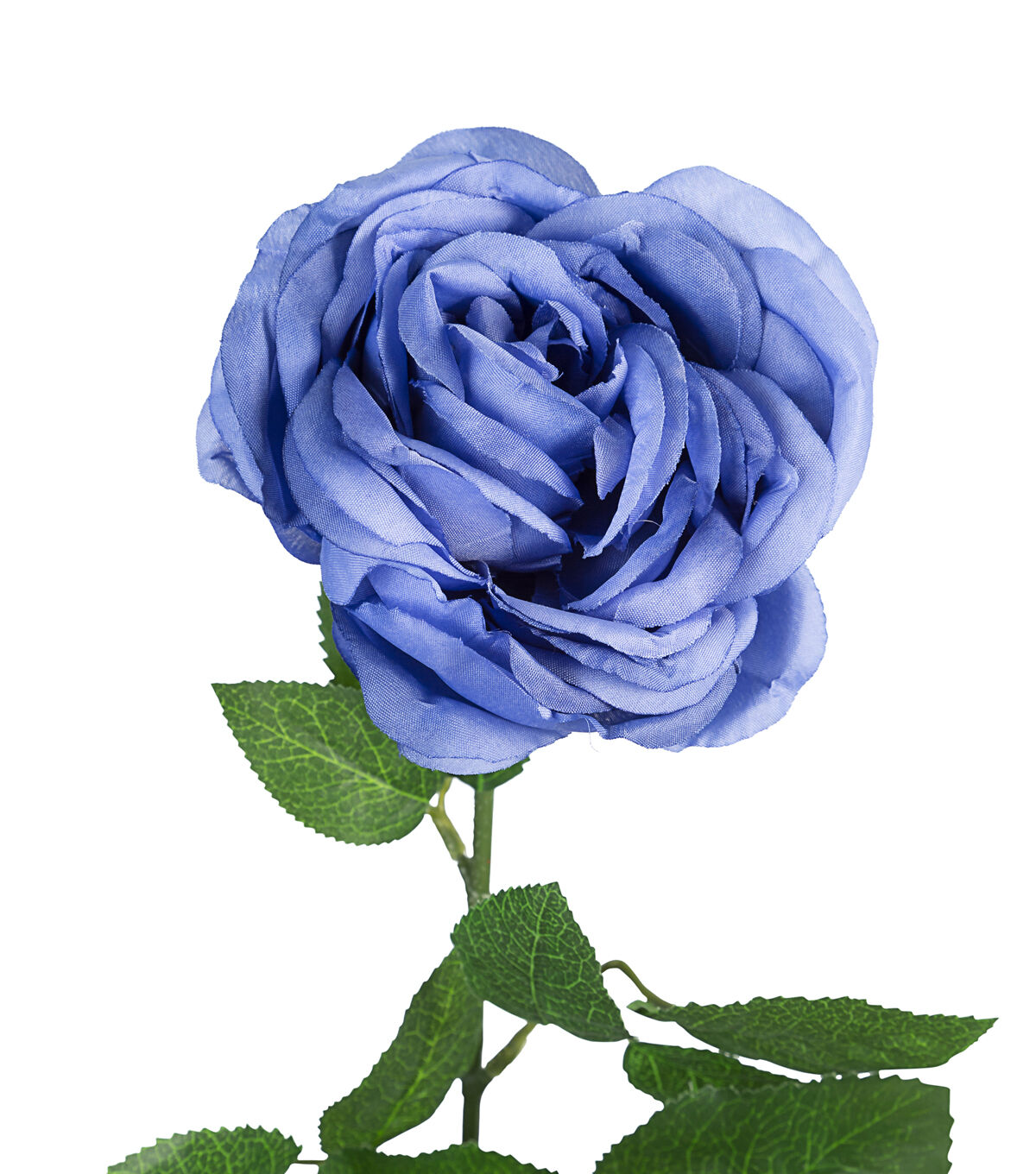 29 Blue Cabbage Rose Stem by Bloom Room