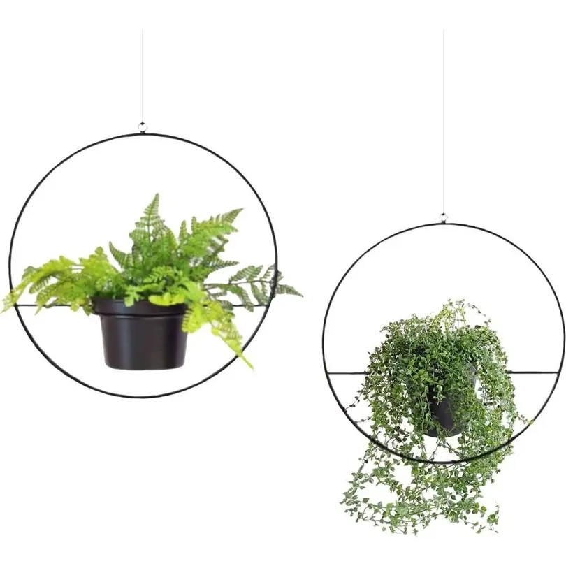 Blumenampel 2er-Set Wallxpert