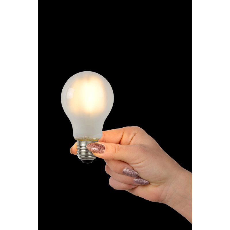 Ampoule mate à filament LED E27 5 W Ø 6 cm dimmable LUCIDE