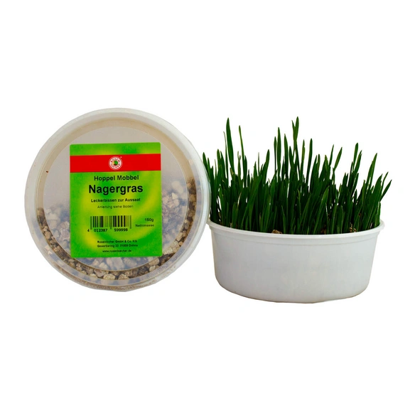 Ergänzungsfutter, NAGERGRAS ZUR AUSSAAT 150 G