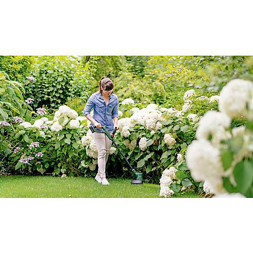Bosch Home and Garden EasyGrassCut 18V-260 sans fil Coupe-bordures, 2 batteries 18 V 2 Ah