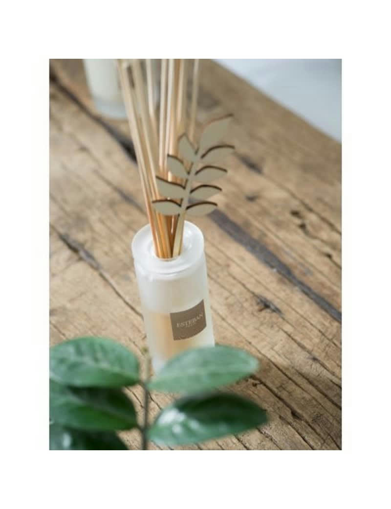 FLEUR D'ALOE - Recharge bouquet 500ml