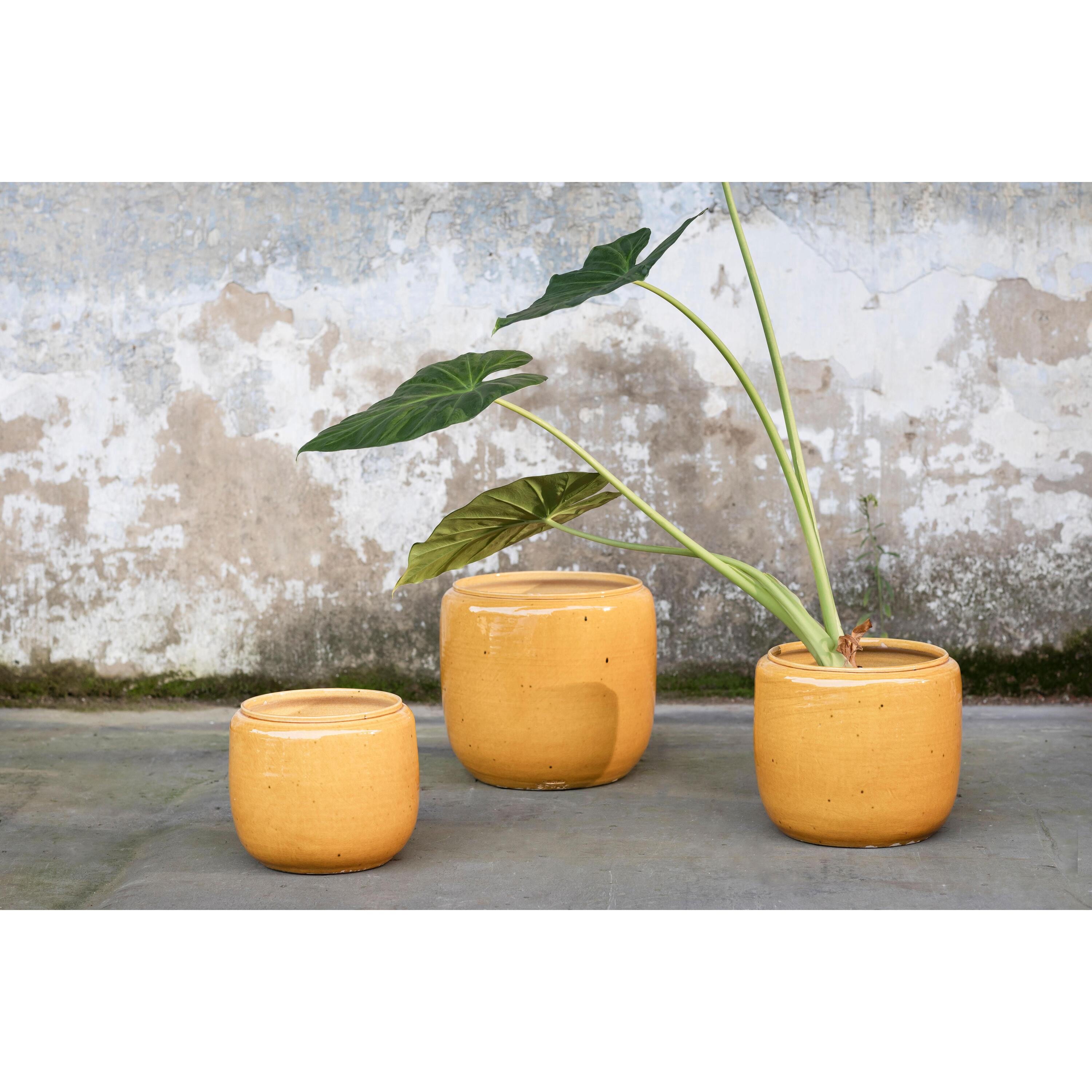 Glazed shades by Serax Costa bloempot large Ø26 Honey