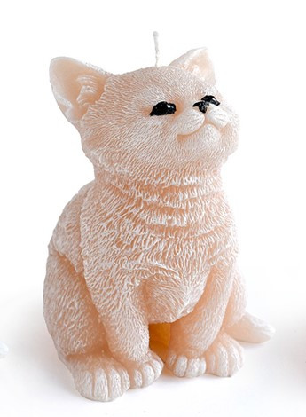 Świeca parafinowa ANIMALS KOT 10x15cm