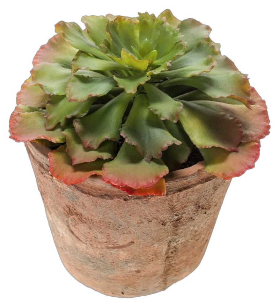 KUNSTIG PLANTE EMERALD ECHEVERIA 14CM ORANGE/GRØNN