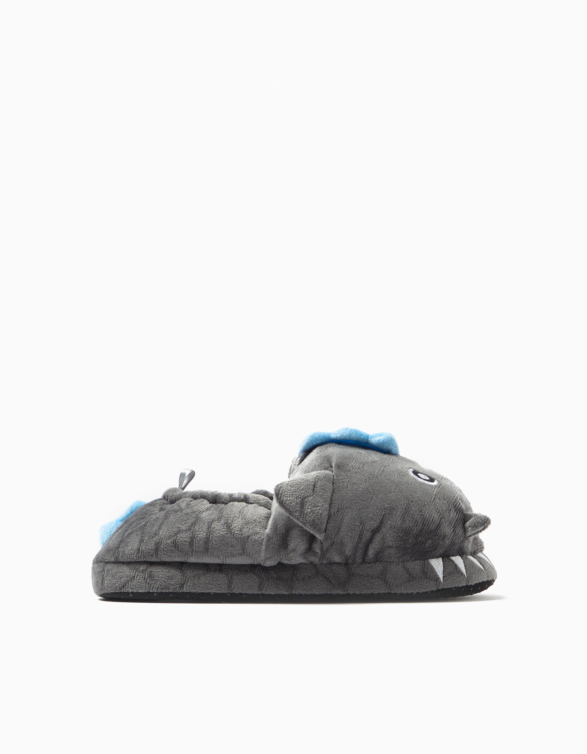Pantufas, Menino, Cinzento