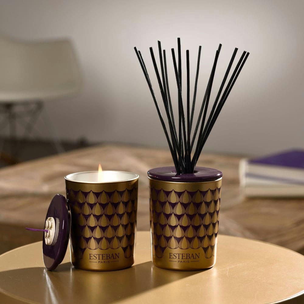 FIGUE NOIRE - Bouquet parfumé déco 100ml