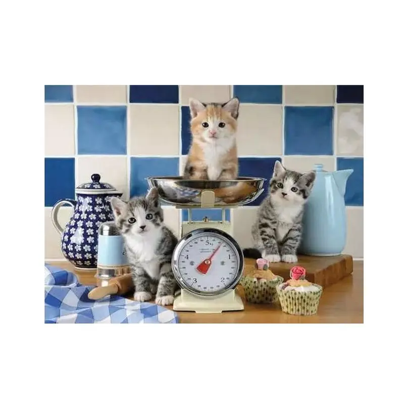 Puzzle Ravensburger