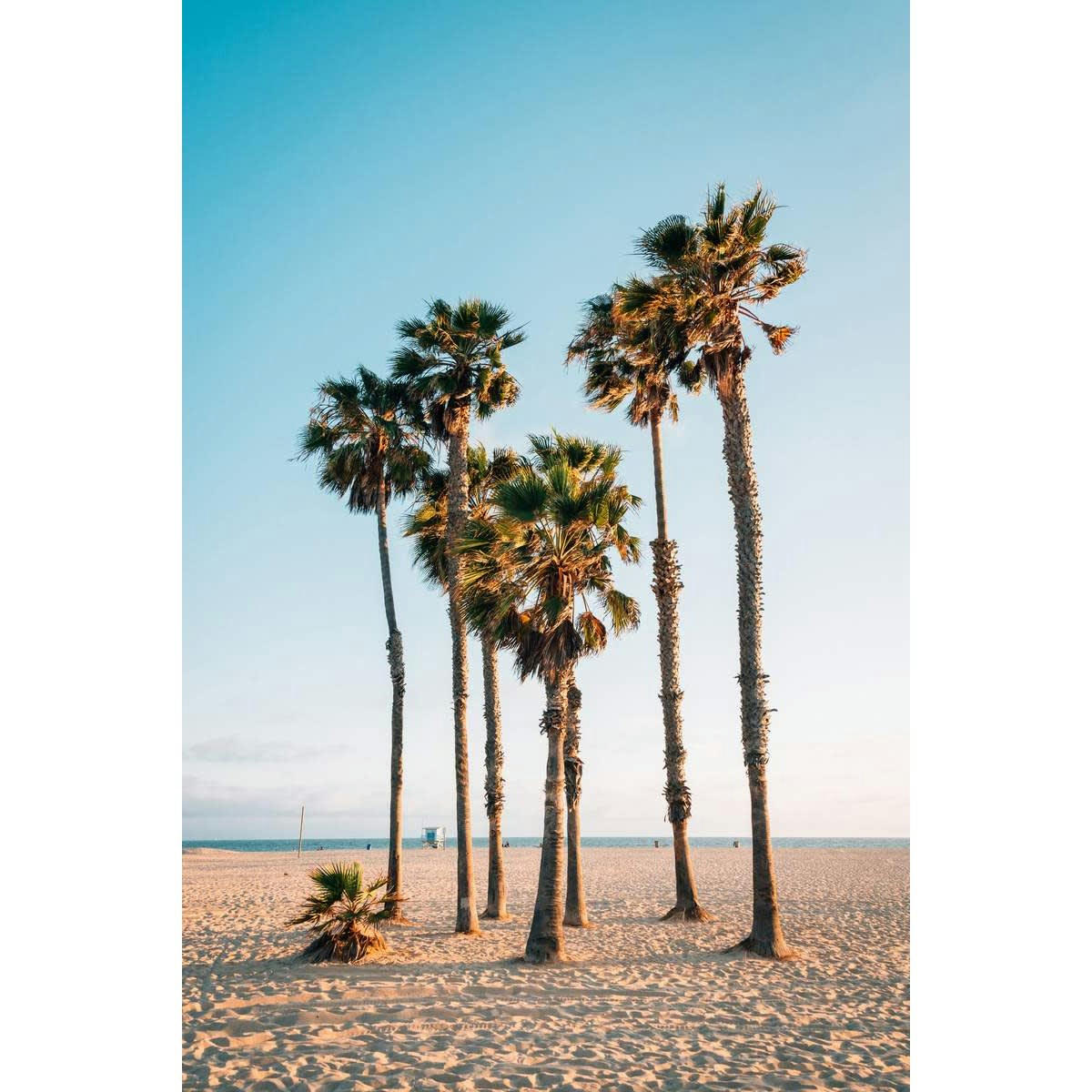 PLAGE - Tableau sur toile palm trees 45x65 cm