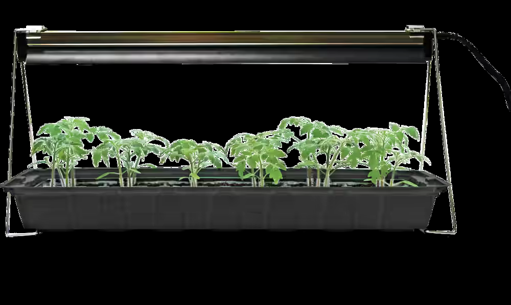 Jiffy Hydro Grow Light System For Seedlings & Cuttings