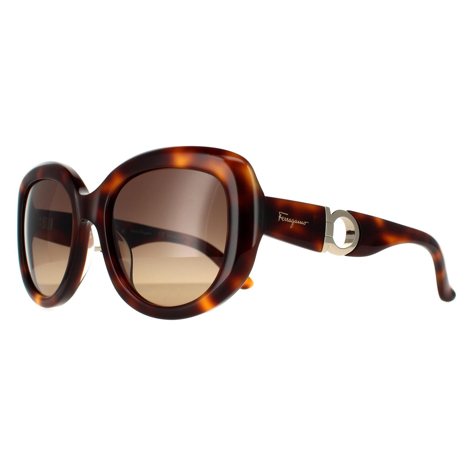 Salvatore Ferragamo Oval Tortoise Brown Gradient Sunglasses
