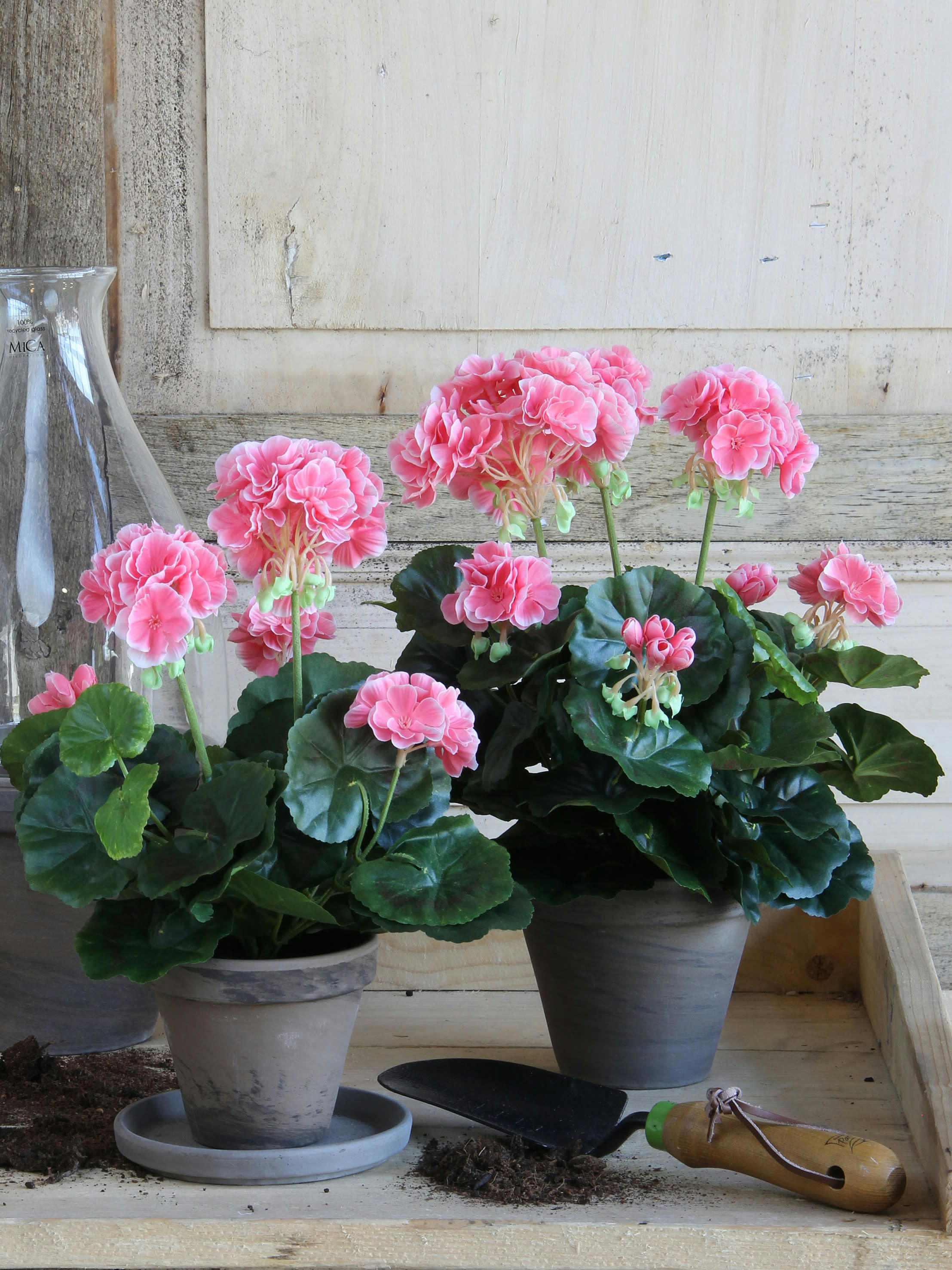 - Géranium artificielle pêche en pot H34