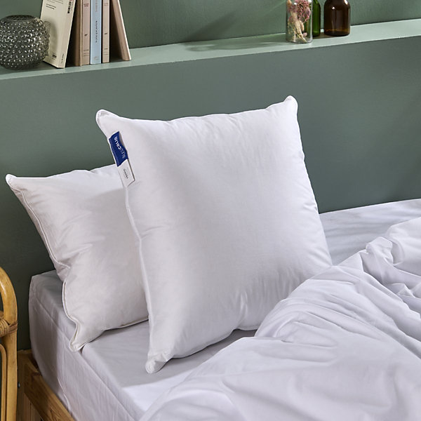 Oreiller Duvet Moelleux 60x60cm 90% DUVET DE CANARD