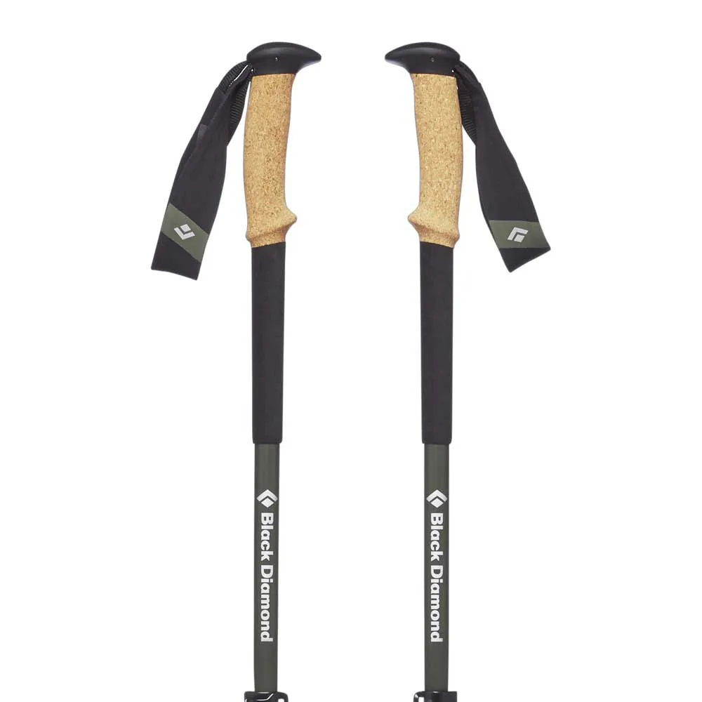 Black Diamond Alpine Carbon Cork poles