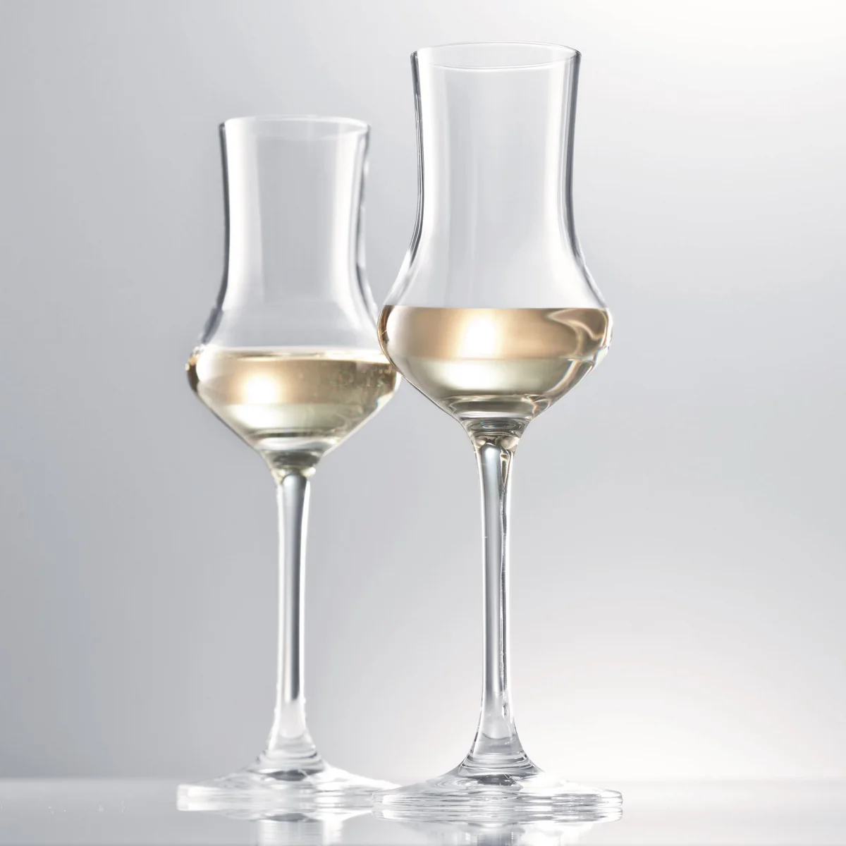 Schott Zwiesel - Digestif Grappa Glas (6er-Set), klar
