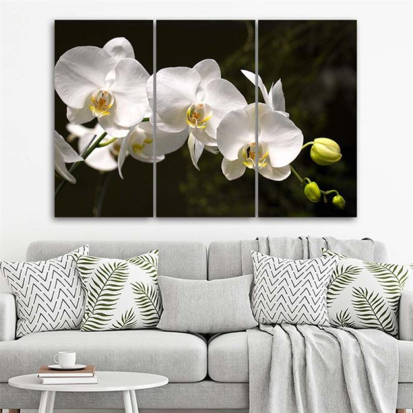 Feeby Obraz tryptyk na płótnie Biała orchidea 60x40