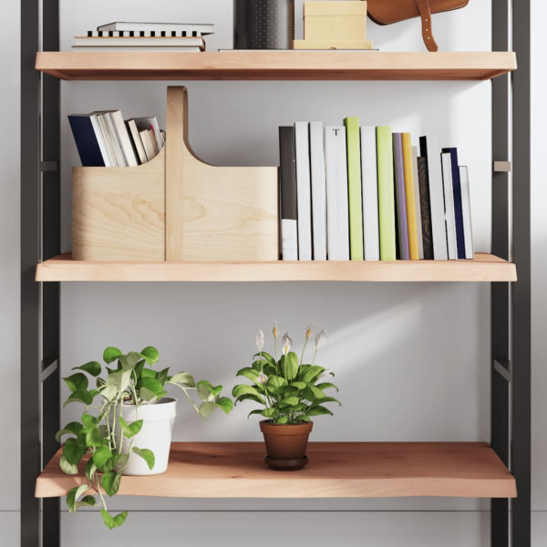 VidaXL Półka 80x50x(2-4) cm surowe