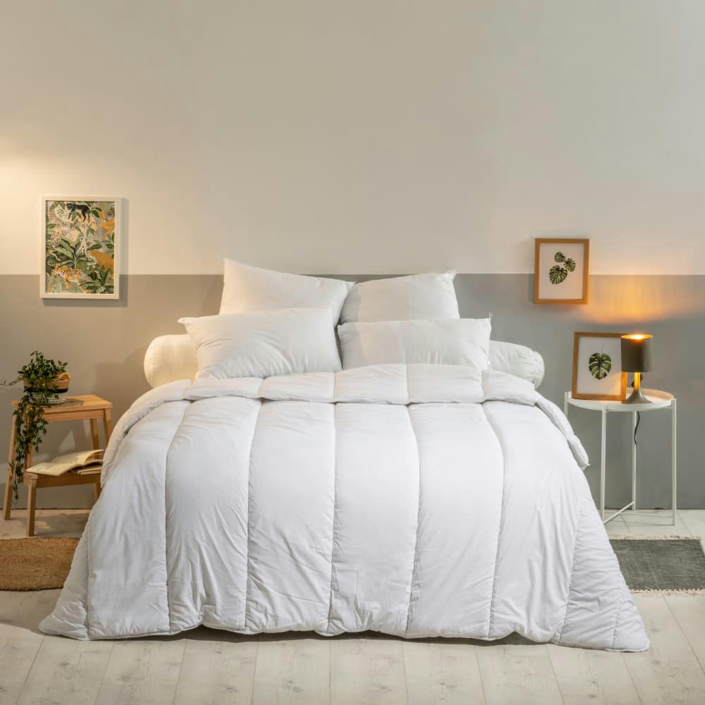 COTON BIO - Lot de 2 oreillers moelleux coton bio 60x60cm